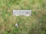 image of grave number 736554